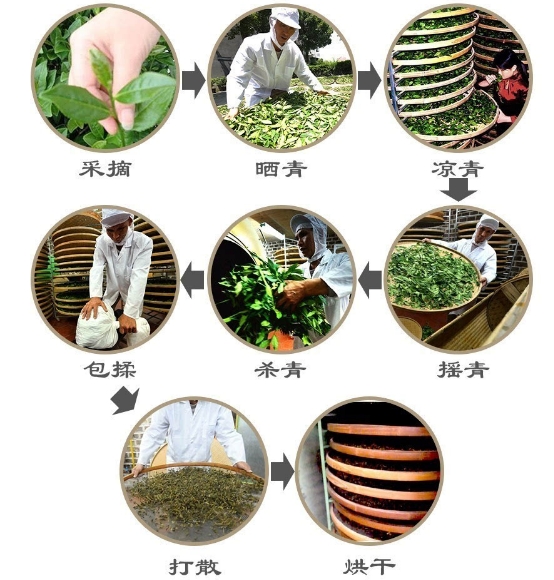 铁观音是如何炒制的？-茶之家