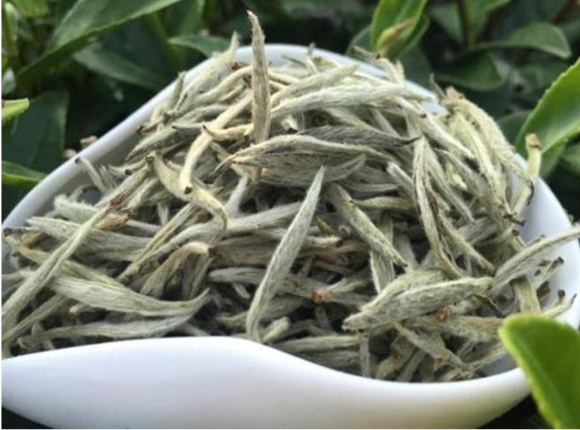 白茶的冲泡方法及技巧，你了解了？-茶之家