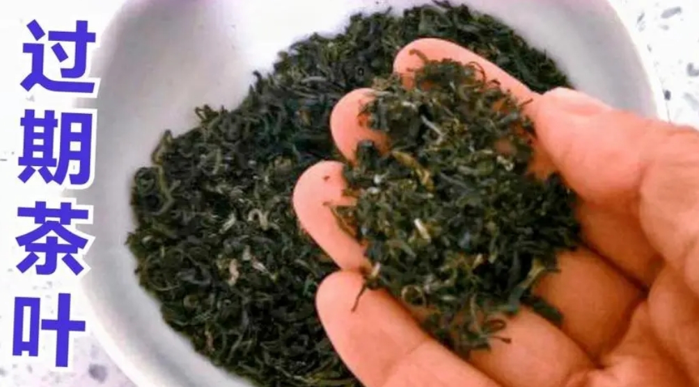 过期的茶叶不要随便仍啦，你所不知道的8个小妙招-茶之家