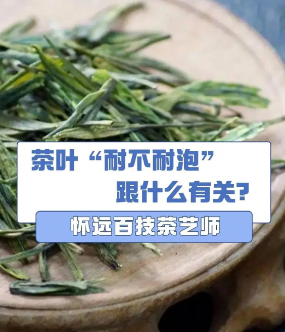 茶“耐不耐泡”，跟哪些因素有关？-茶之家