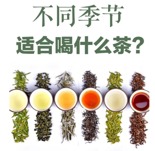 一年四季各喝什么茶比较好呢？-茶之家