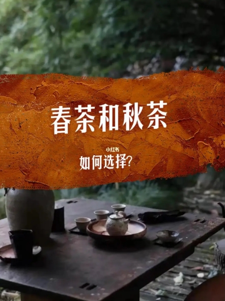 铁观音是春茶好还是秋茶好？-茶之家