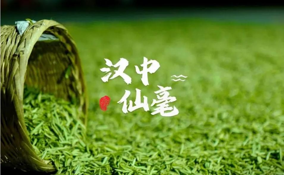 汉中仙毫都有哪些功效和作用-茶之家