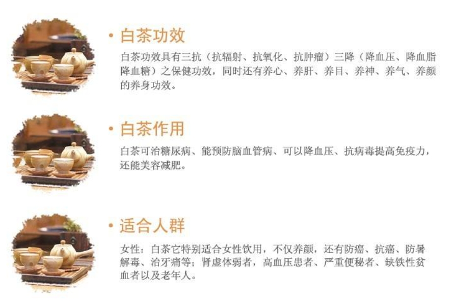 白茶的功效与作用-茶之家