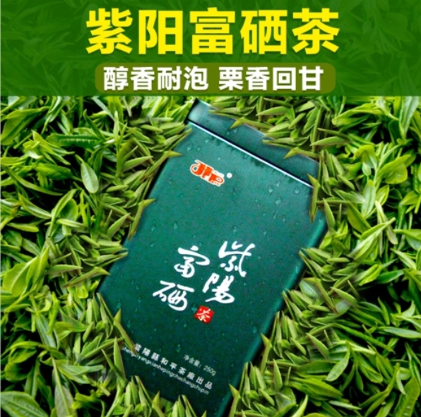 紫阳富晒茶功效及作用-茶之家