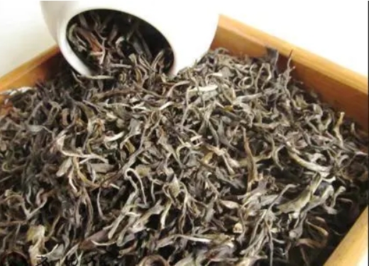 普洱生茶的保管方式-茶之家