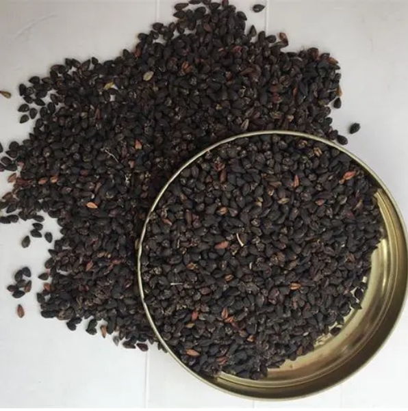 黑苦荞的功效及作用-茶之家