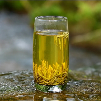 蒙顶黄芽的冲泡方法-茶之家
