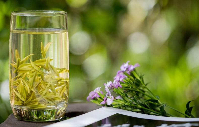 安吉白茶的特点及功效-茶之家