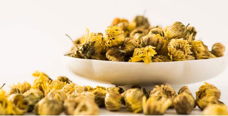 白菊花和黄胎菊的区以及功效-茶之家
