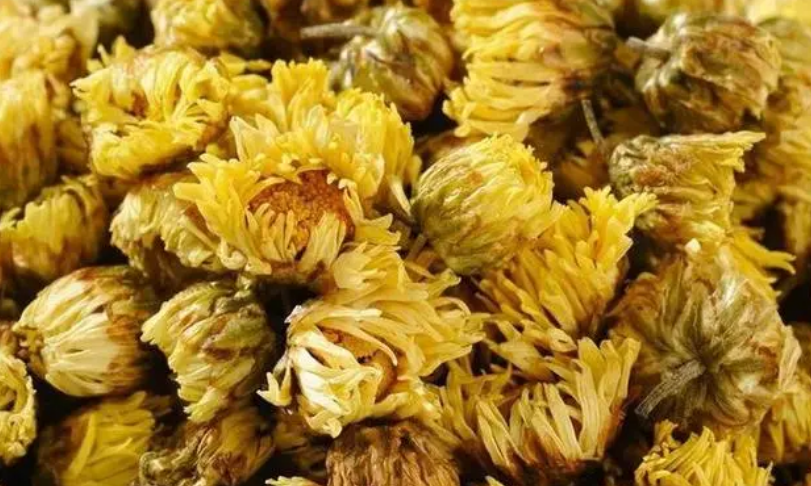 炎热夏天喜欢菊花泡水注意的9大忌讳-茶之家