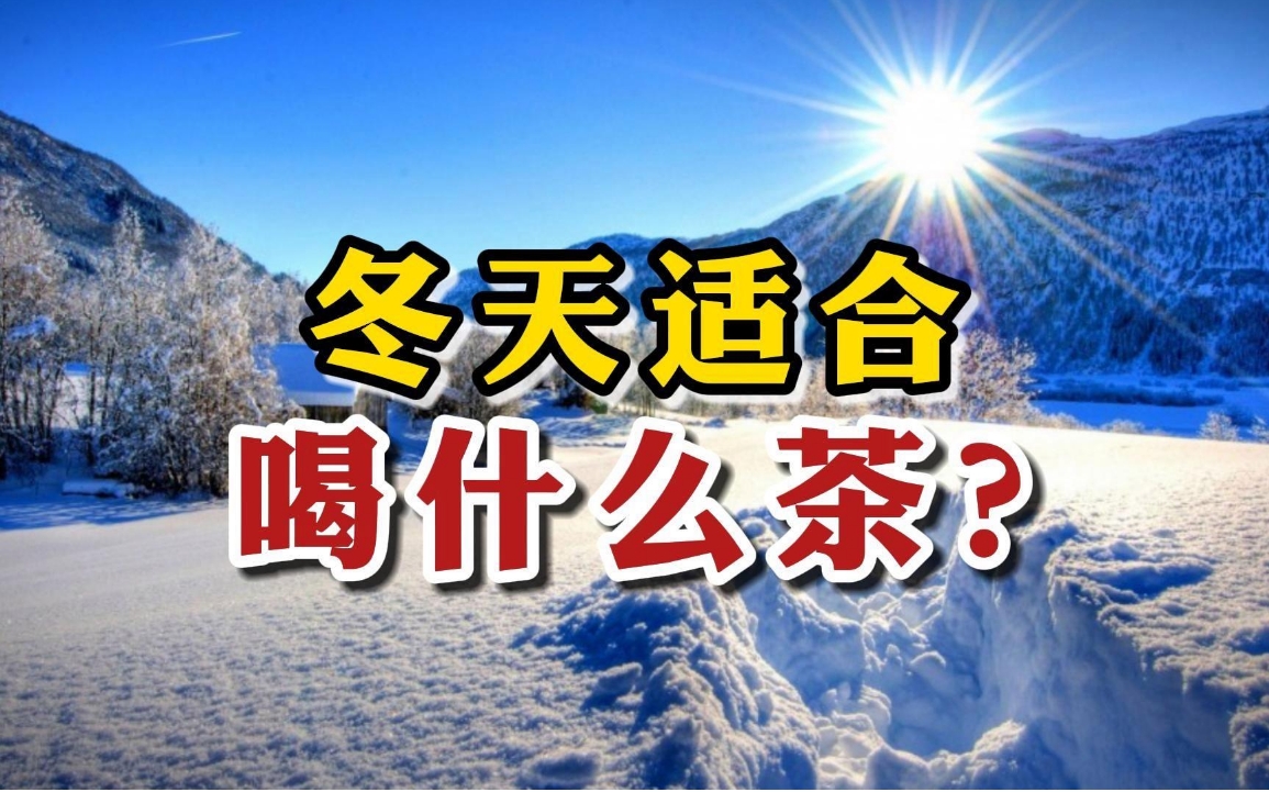 冬天适合喝什么茶养生-茶之家