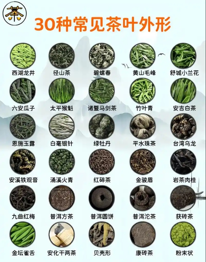 茶叶外形与品质有何关系？-茶之家