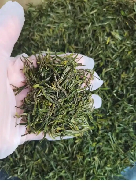 绿茶-阳羡雪芽-茶之家