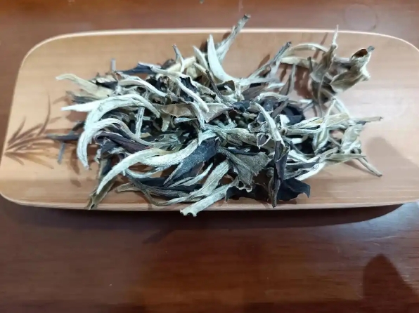 白茶-月光白（月光美人）-茶之家