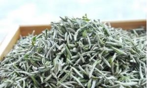 白茶-政和白毫银针（南路银针）-茶之家