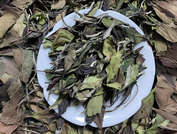 白茶-小白贡眉（建阳白茶）-茶之家