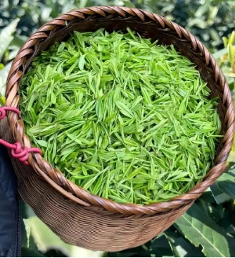 绿茶-越乡龙井-茶之家