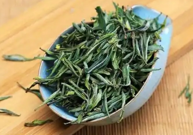 黄茶-广东大叶青-茶之家