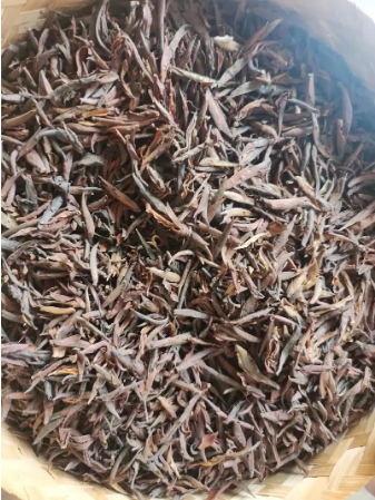 普洱茶-紫芽苞茶-茶之家