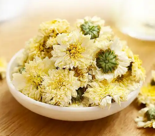 代用茶-贡菊-茶之家