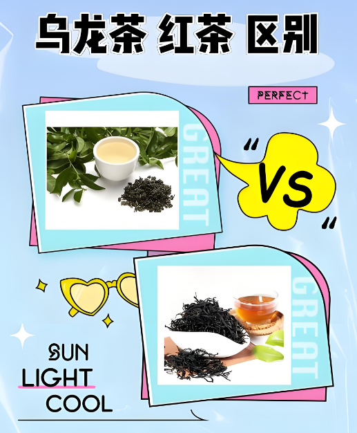 茶界双生花：乌龙茶与红茶的风味博弈与工艺对决-茶之家