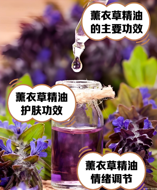 肌肤 “焕新开关” 被找到！薰衣草让代谢狂飙、皮肤嫩到掐出水？-茶之家