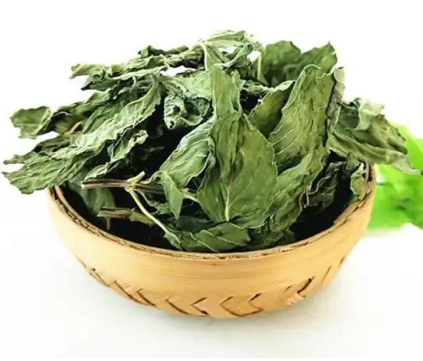 代用茶-薄荷茶（薄荷叶茶）-茶之家