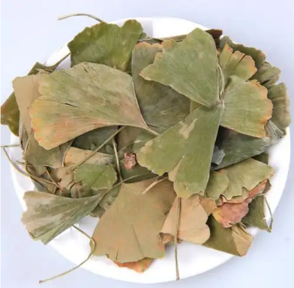 代用茶-银杏叶茶-茶之家