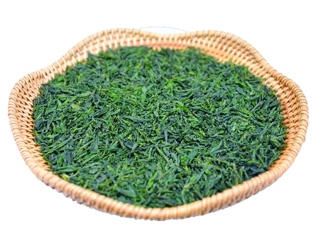 代用茶-余庆苦丁茶（小叶苦丁茶）-茶之家