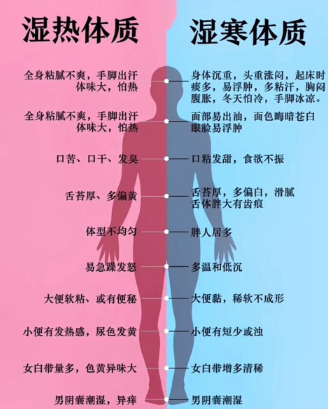 寒湿体质饮茶指南：5 款对症茶方 + 3 大禁忌，科学祛湿驱寒-茶之家