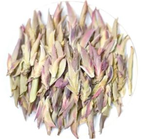 普洱茶-紫芽苞茶-茶之家