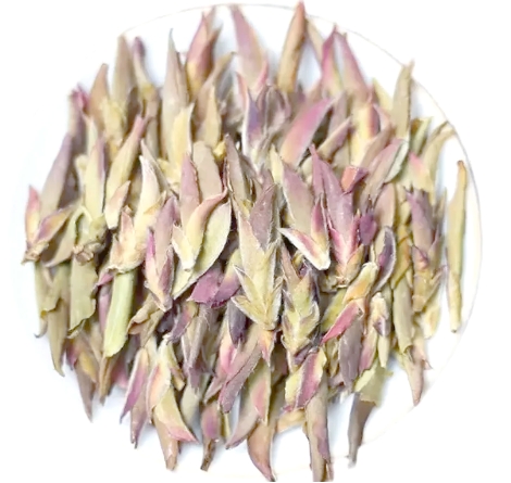 普洱茶-紫芽苞茶-茶之家