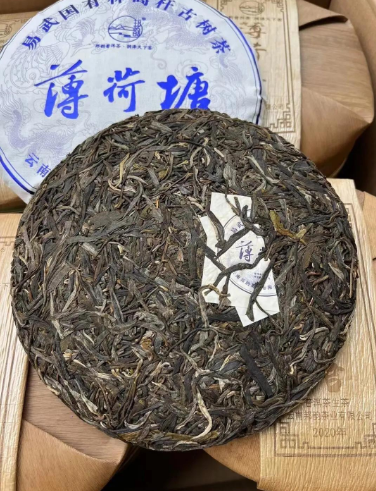 普洱茶-薄荷塘普洱茶-茶之家