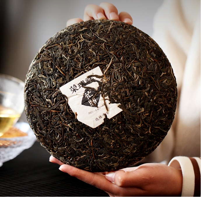 普洱茶-忙肺普洱茶-茶之家