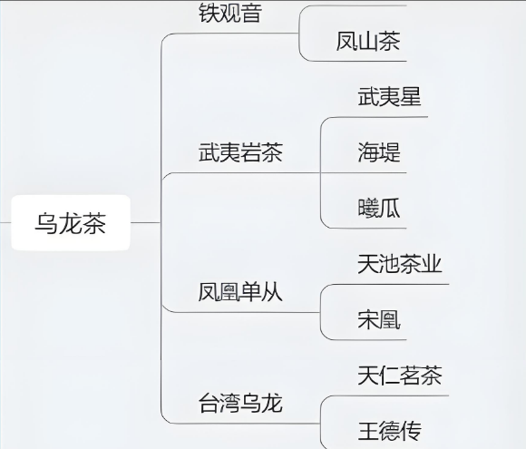 乌龙茶选购的 “五感秘诀”：从形到味，3 步挑出地道好茶-茶之家