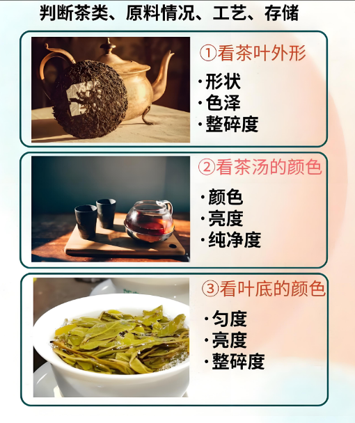 普洱茶好坏鉴别 3 步法：老茶客私藏的 “观闻品” 密码-茶之家