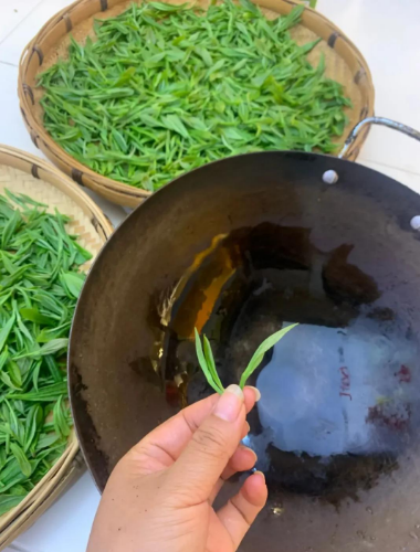 桂香凝于火：黄金桂 “三炒三晾” 的风味锻造术-茶之家