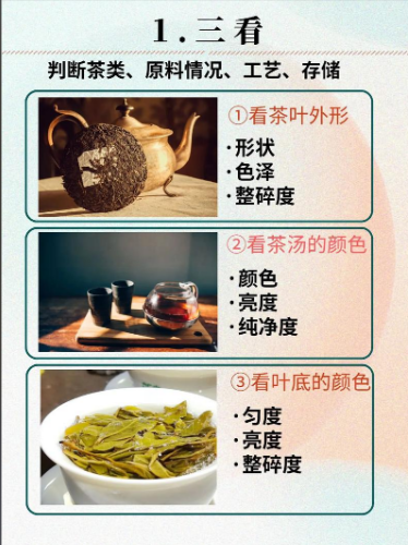 茶叶鉴别 “小白速成法”：从看形到品茶，5 步辨好坏-茶之家