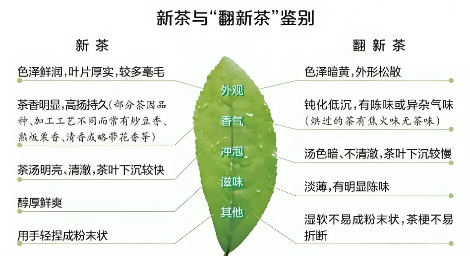 新茶鉴别 3 大鲜爽信号：看香摸尝，3 分钟识 “头春味”-茶之家