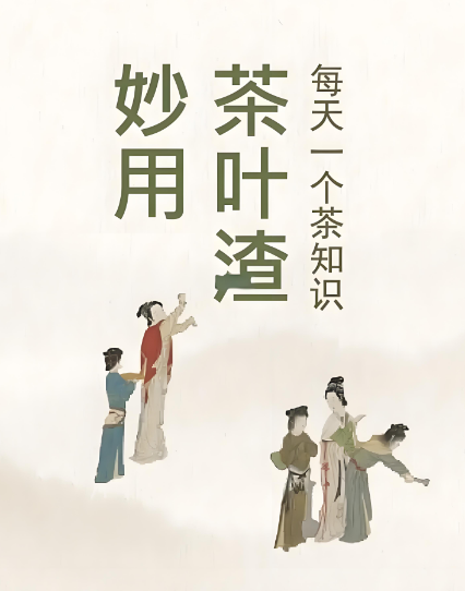 别丢茶渣！口腔护理的隐藏 “神器” 竟藏在茶杯底？-茶之家