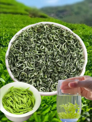 都匀毛尖价差悬？从百元到数千，藏着剑江云雾的鲜爽魂-茶之家