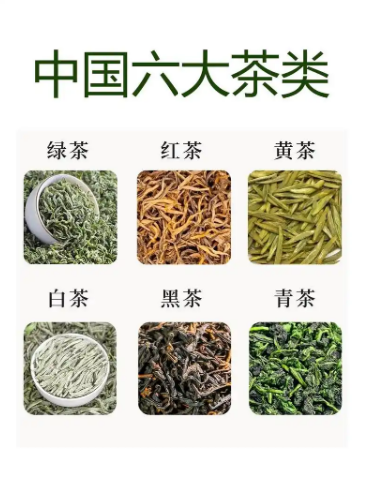茶叶各有 “小本事”？6 大茶类的温柔滋养，藏在茶汤里-茶之家