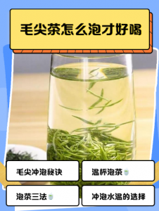 毛尖泡对才鲜爽！四步解锁春日茶香，芽叶立起来-茶之家