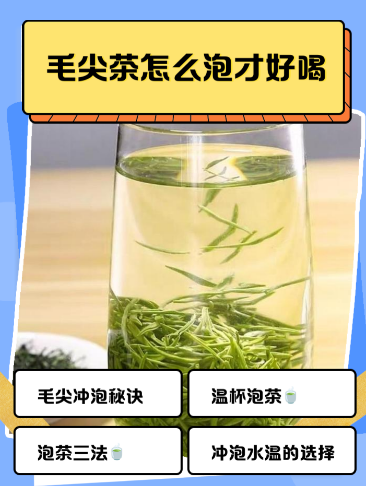 毛尖泡对才鲜爽！四步解锁春日茶香，芽叶立起来-茶之家