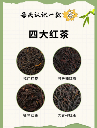 中国四大红茶解密：产地藏风骨，一杯尝尽山河味-茶之家