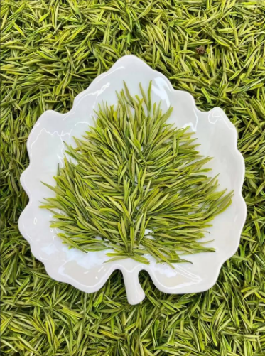 安吉白茶价差大？从百元到数千，鲜爽度藏着档位密码-茶之家