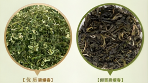 碧螺春辨真假？3 个 “密码” 教你揪出冒牌货-茶之家