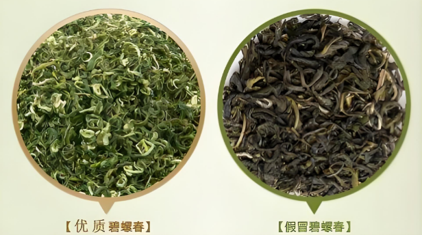 碧螺春辨真假？3 个 “密码” 教你揪出冒牌货-茶之家