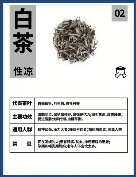 喝白茶需避忌？过量可能添不适，这些讲究要记牢-茶之家